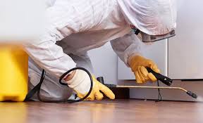 Best Termite Inspection and Treatment  in Homeacre Lyndora, PA